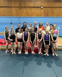 Image result for Thornton Sport Gymnastics