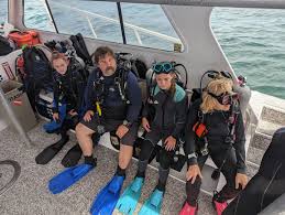 Image result for 3D Diving Club