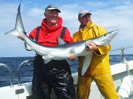 Image result for Byfleet Angling Association