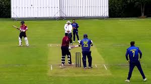 Image result for Luton Nomads Cricket Club