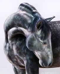 Image result for jill greenberg