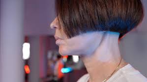 Image result for Bob