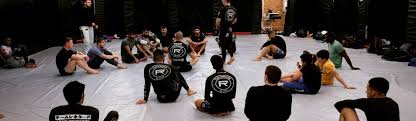 Image result for Team Renegade BJJ & Judo