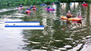 Image result for Surrey Canoeist Group