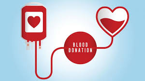 Image result for blood