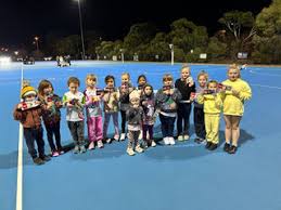 Image result for Zodiac Netball Club