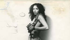 Image result for Schneemann