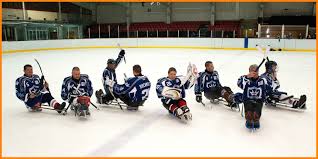 Image result for Sheffield Wildcats Rink Hockey and Roller Skating Club