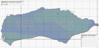 Attēlu rezultāti vaicājumam “Lacanobia contigua”