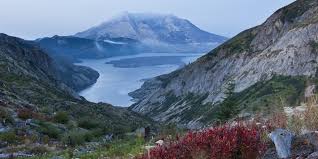 Image result for St Helens Miners