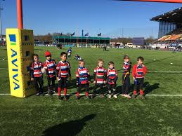 Image result for Watford Rugby Football Club