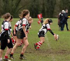 Image result for Harpenden Rugby Club