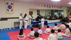 Image result for Chichester Tae Kwon Do