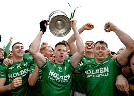 Image result for Shamrocks Hurling & Football Club