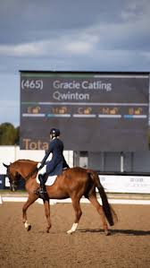 Image result for Interfreestyle Sport Karate