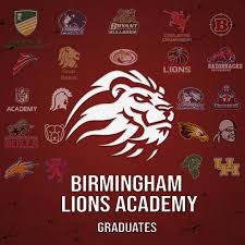 Image result for Birmingham University Lions