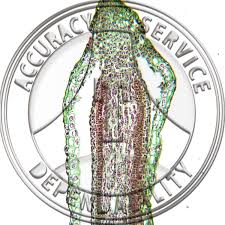 Attēlu rezultāti vaicājumam “Mnium hornum sporophyte”