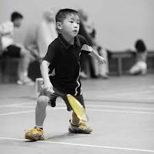 Image result for Falcons Badminton Club