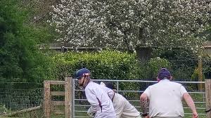 Image result for Whitchurch Cricket Club