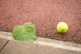 Image result for Frimley Lawn Tennis Club