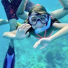Image result for Looe Diving Club