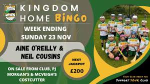 Image result for An Riocht Gaa Club