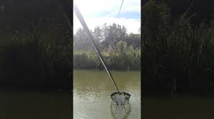 Image result for Wheatley Hill Angling Club