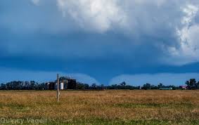 Image result for Halstead Cyclones