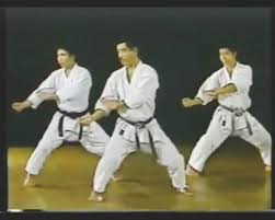 Image result for Caversham Karate Club SSKA