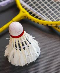 Image result for Delco Electronics Senior Badminton Club