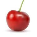 Vector gratis de Cereza