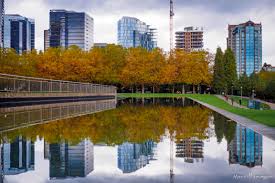 Image result for Bellevue