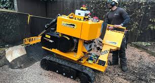 Image result for Northwich Predators