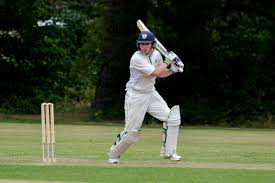 Image result for Bashley (Rydal) Cricket Club