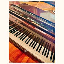 「榊原陽介 Another」の画像検索結果