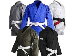 Image result for Ju Jitsu Tavistock