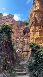 「parque los chor」の画像検索結果