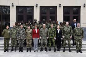 Image result for Seesac