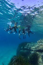 Image result for Exe To Sea Diving