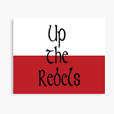 Image result for Cork Rebels