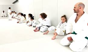 Image result for Mushin Kempo Jiu Jitsu Club