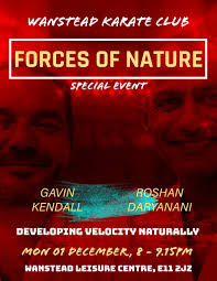 Image result for Wanstead JuJitsu Club