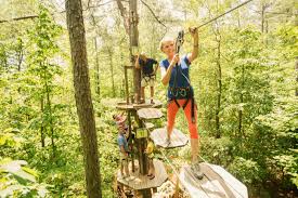 Image result for The Go Ape Experience (Swinley Forest)