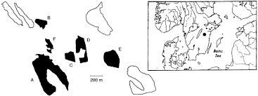 Attēlu rezultāti vaicājumam “Lopinga achine underside”