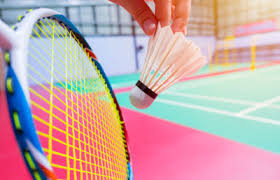 Image result for Camys Badminton Club