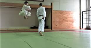 Image result for enpi dojo
