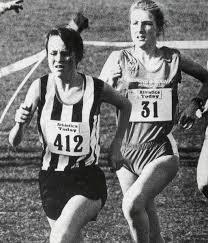 Image result for Cheltenham and County Harriers