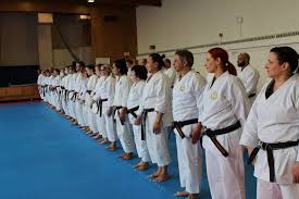 Image result for Independent Wadoryu Karate Federation