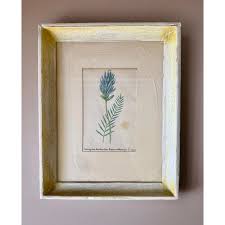 Image result for Thaddus Haenke