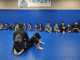 Image result for Impact Martial Arts